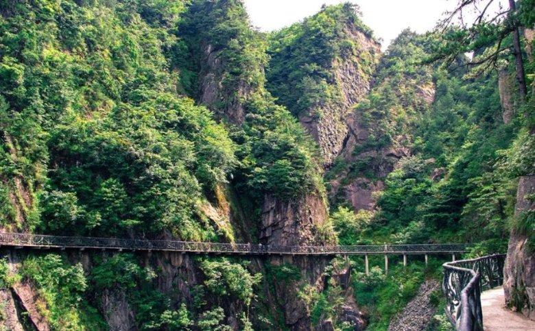 贝索斯妻子和哈里同拿“航空活传奇”奖？！网友群嘲：丢死个人